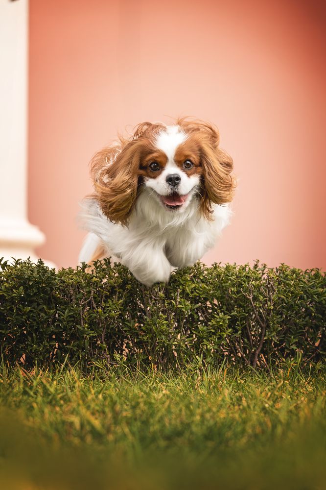 Photograph by Ирина Голомб