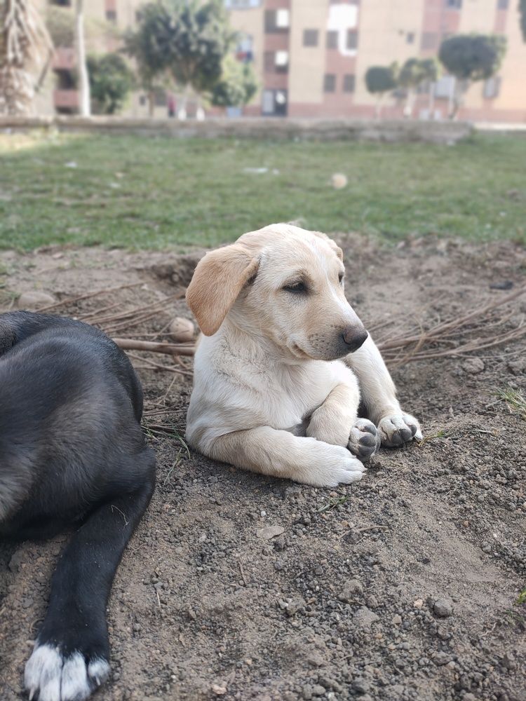 Photograph by OMAR Mourtagy Helal