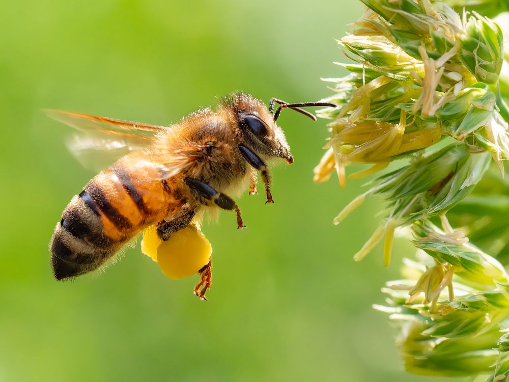 Photograph by Craciun Nicolae
