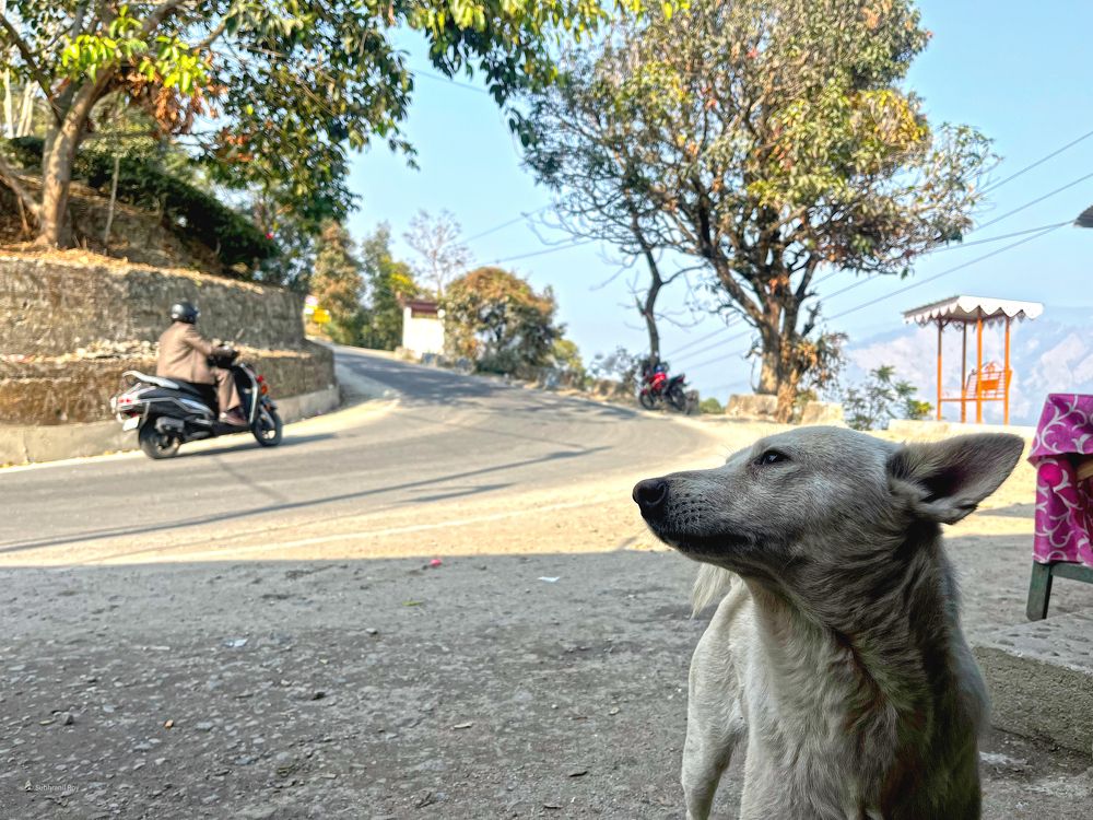 Фотография автора Subhranil Roy