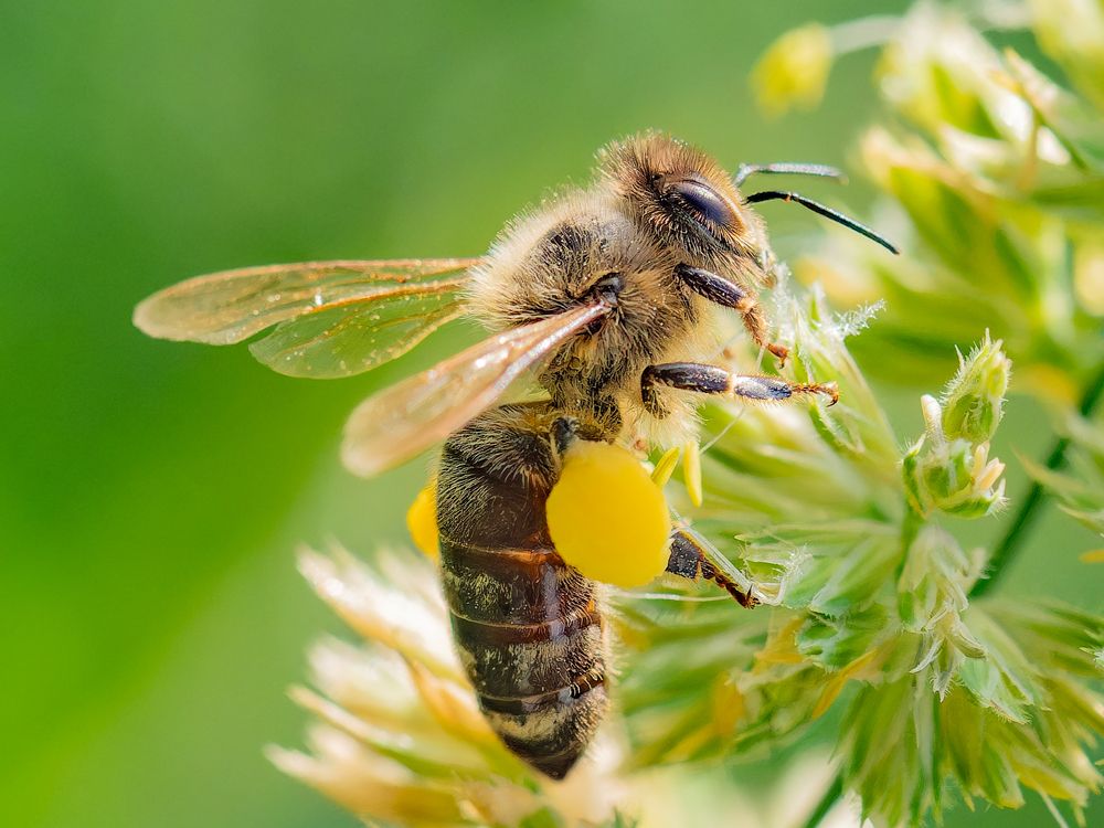 Photograph by Craciun Nicolae