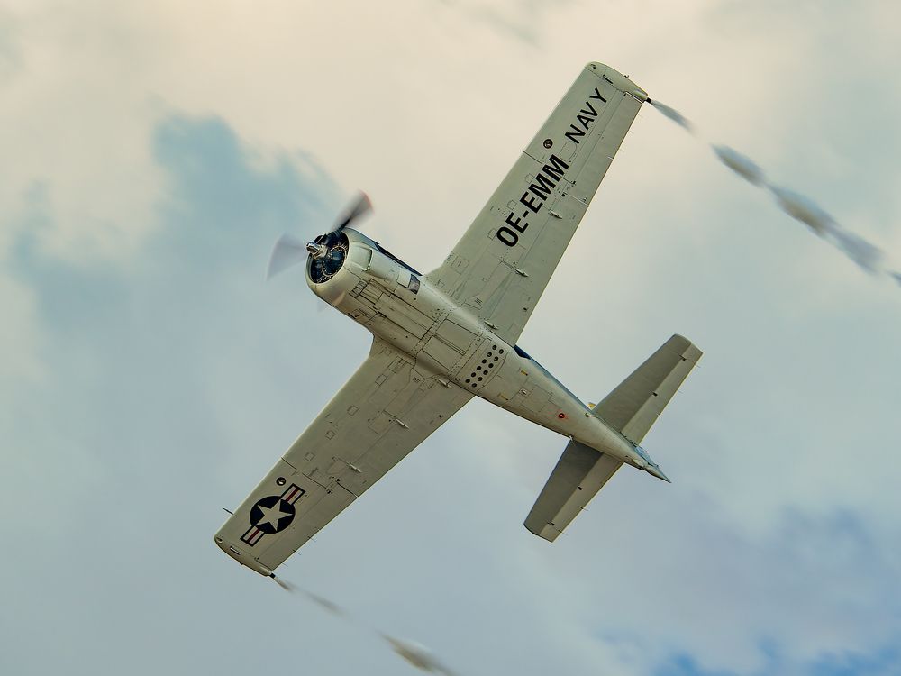 Photograph by Craciun Nicolae