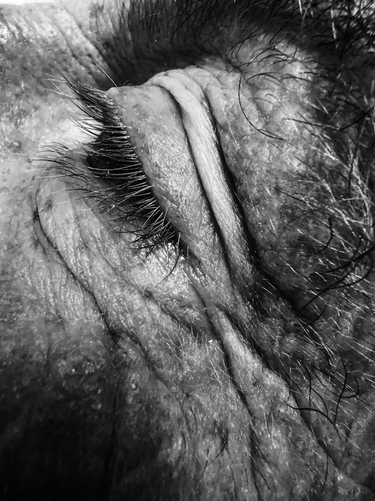 Photograph by Irina Tischer