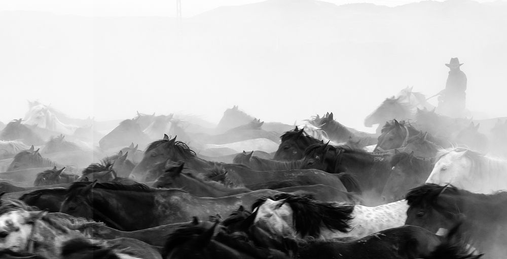 Фотография автора Gilcan Mete Delibay