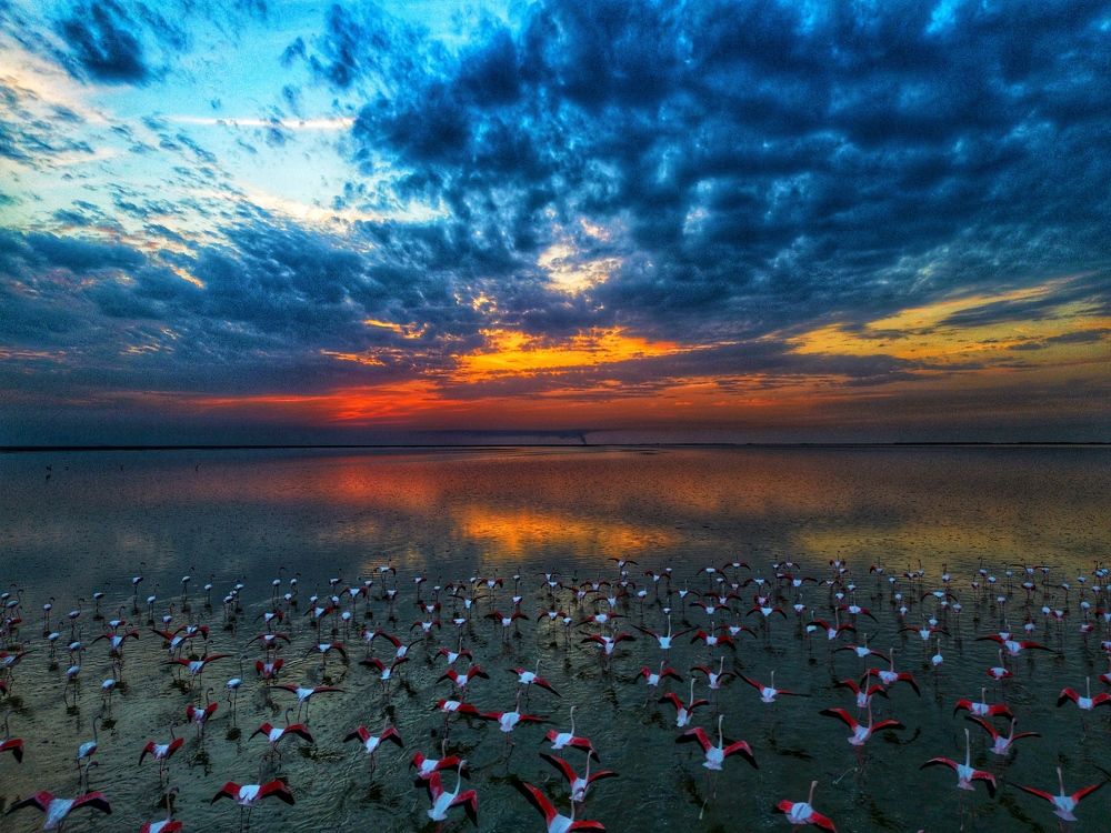 Photograph by mehdi mohebi pour