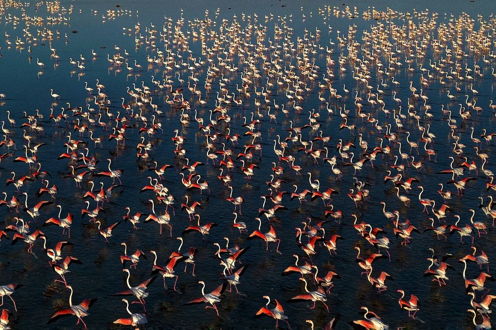 Photograph by mehdi mohebi pour