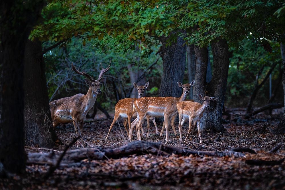Photograph by mehdi mohebi pour