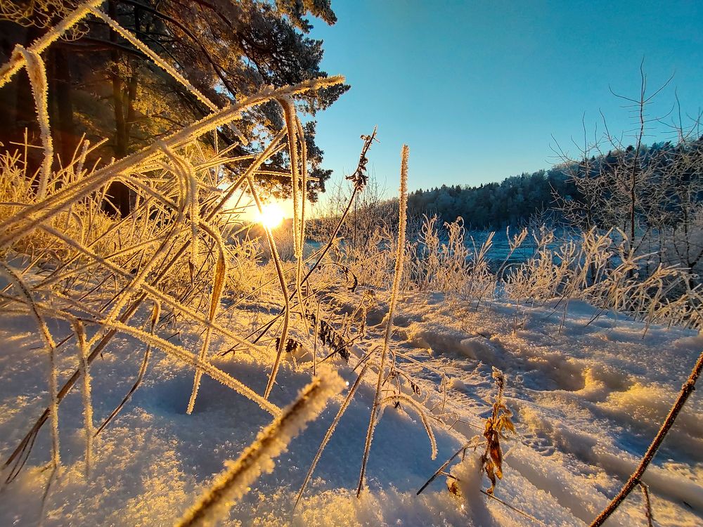 Фотография автора Александр