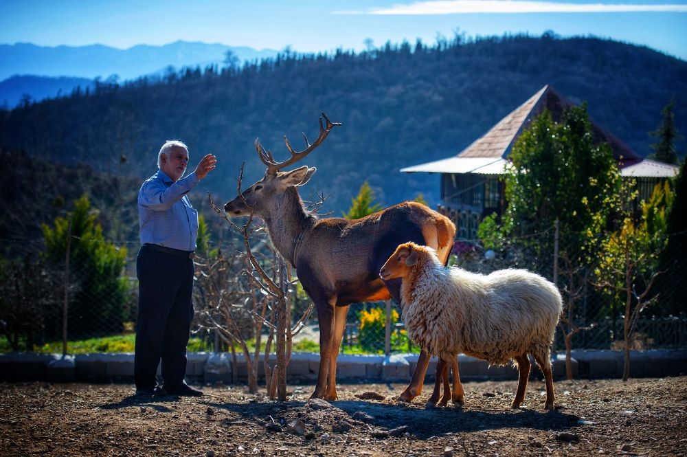 Photograph by mehdi mohebi pour