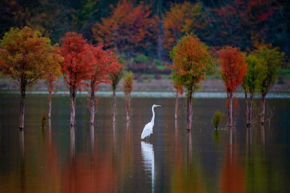 Photograph by mehdi mohebi pour