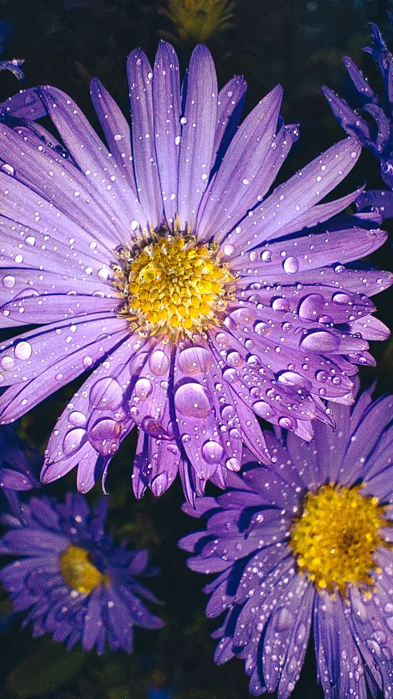 Фотография автора Александр