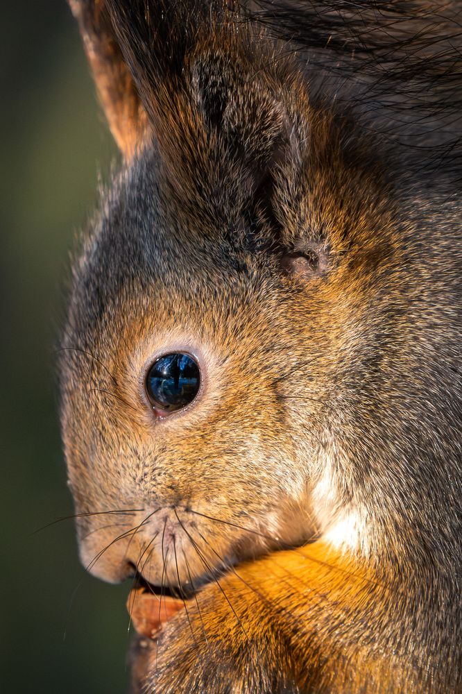 Фотография автора Владимир Коровяковский