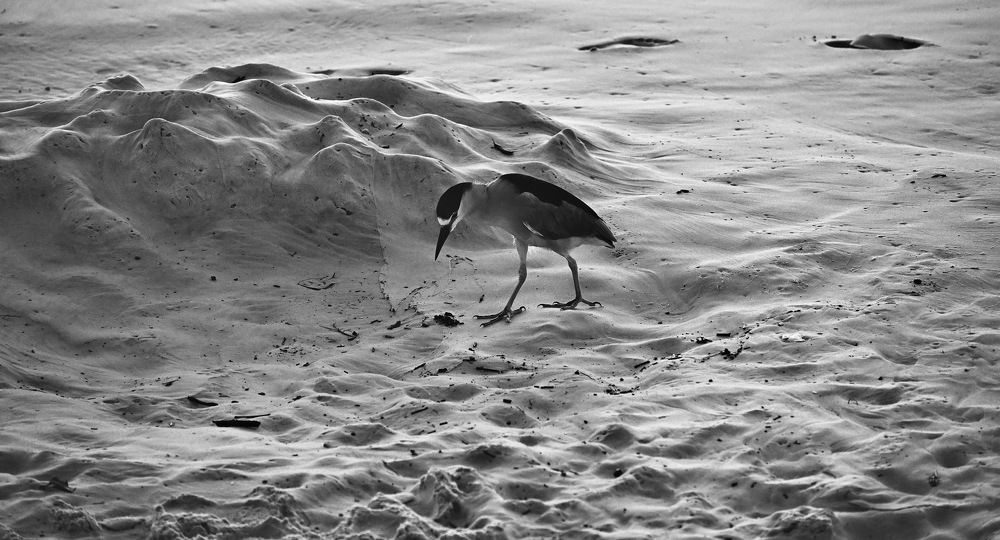 Photograph by Jaime Baiao