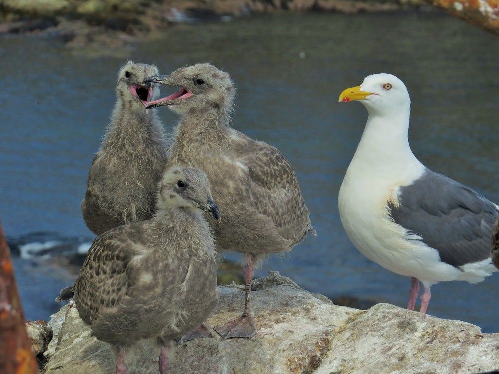 Photograph by Светлана Башаева