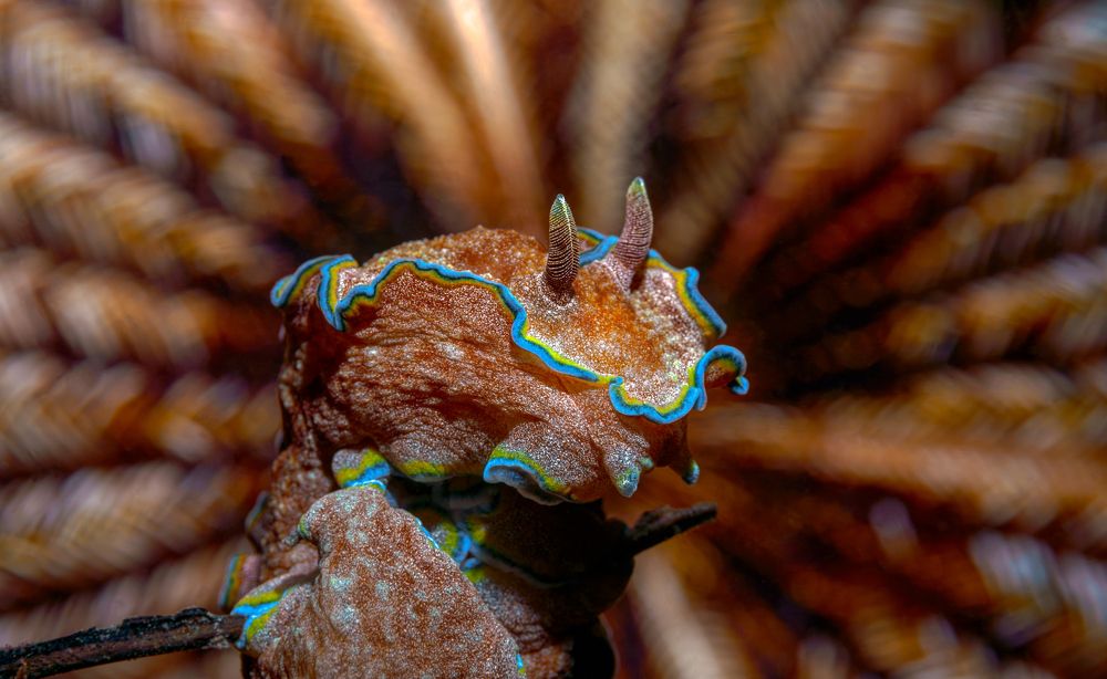 Photograph by Савин Андрей