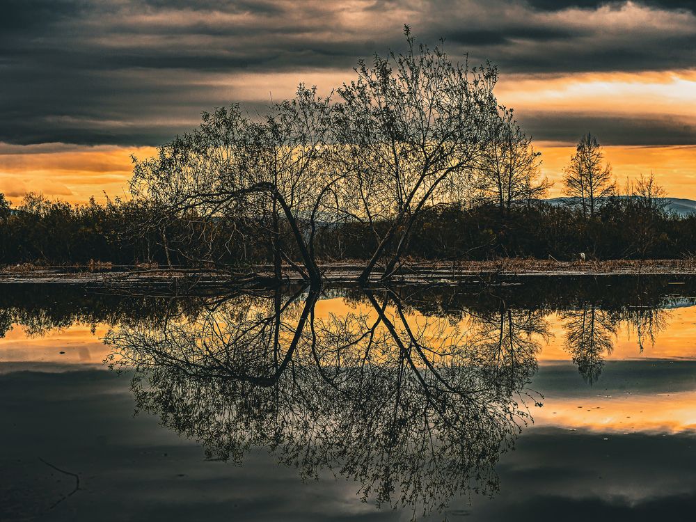 Photograph by Attef Bouras