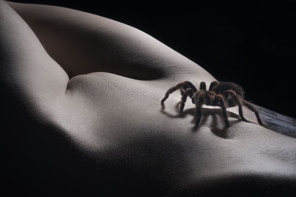 Фотография автора Антон Сандалов