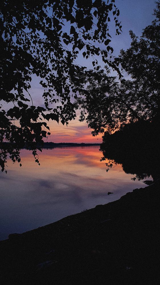 Photograph by Дарья Целуйко