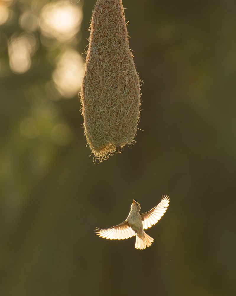 Фотография автора Anandhu M