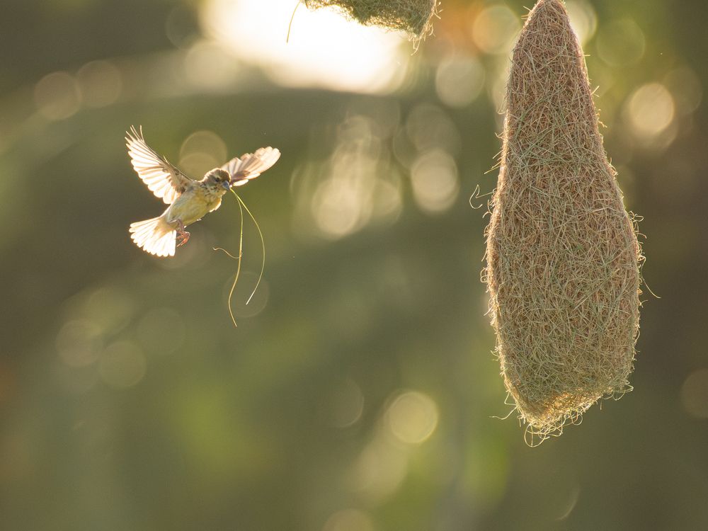 Фотография автора Anandhu M