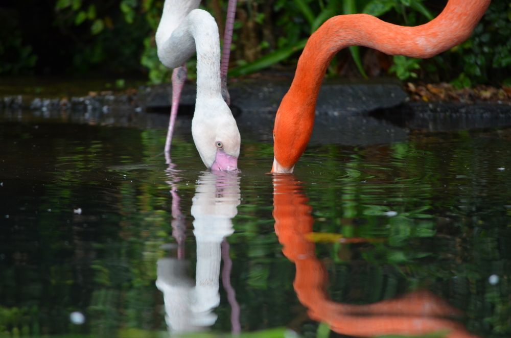 Photograph by Diana Kozlova