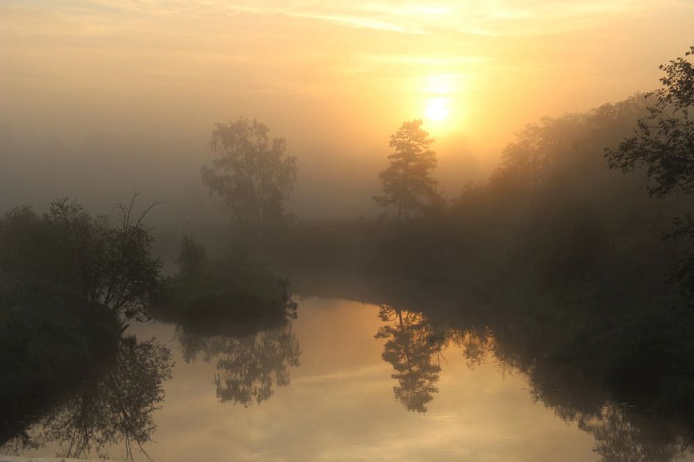 Photograph by Юлия Туманова
