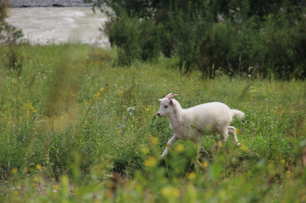 Photograph by Ольга Унутова( Виноградова)