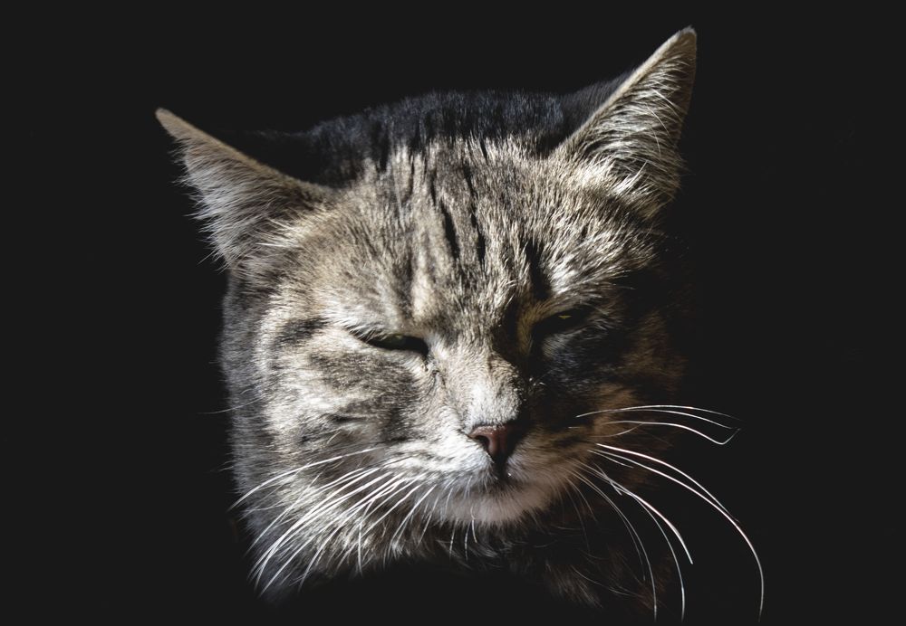 Photograph by Juan David Suárez Castiblanco