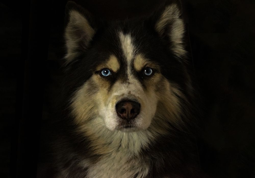 Photograph by Juan David Suárez Castiblanco