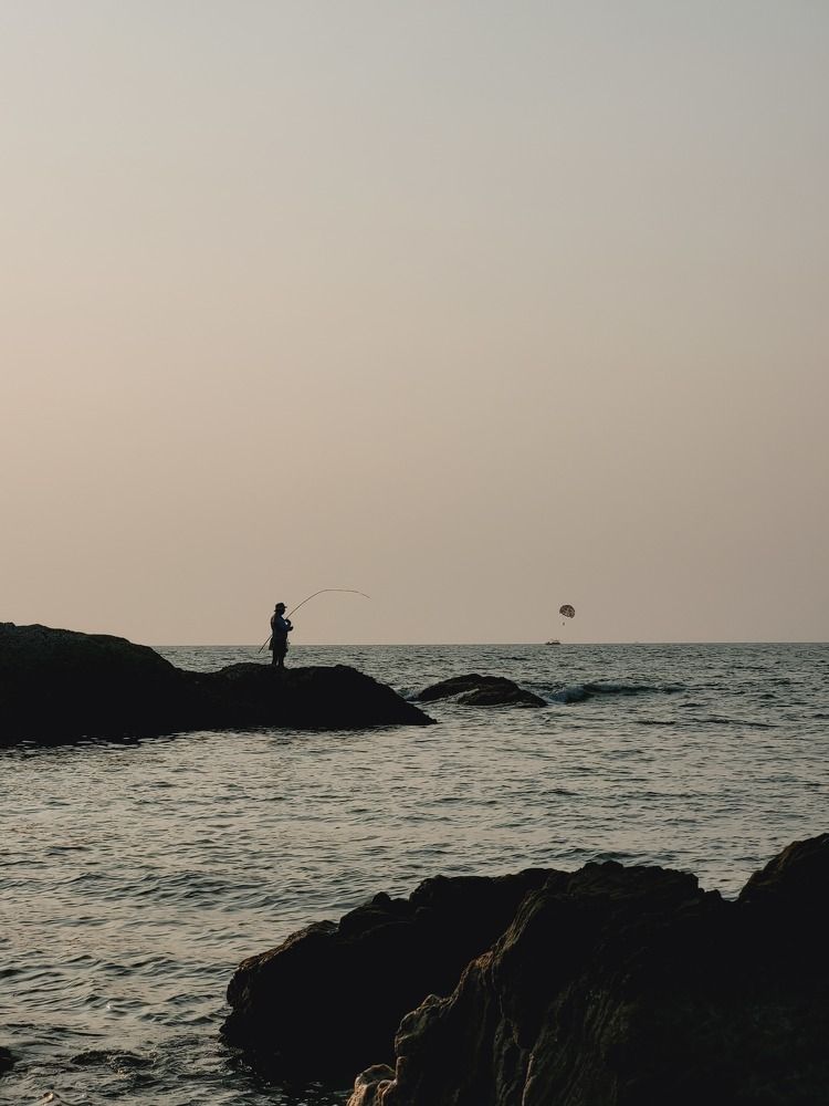 Photo #10302418