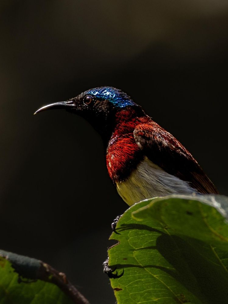 Фотография автора Abhav Mehta