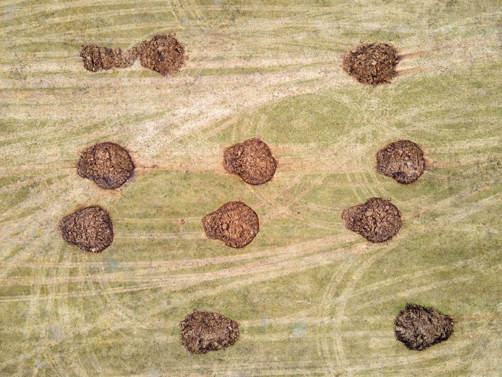 Photograph by Андрей Сафонов