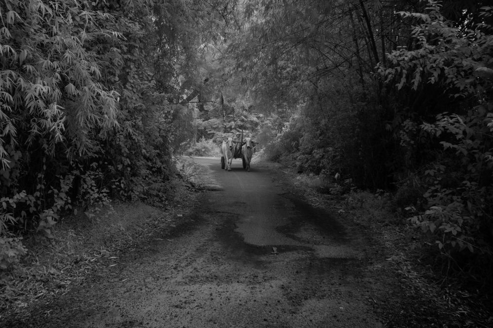 Photograph by Trung Hoa Vo