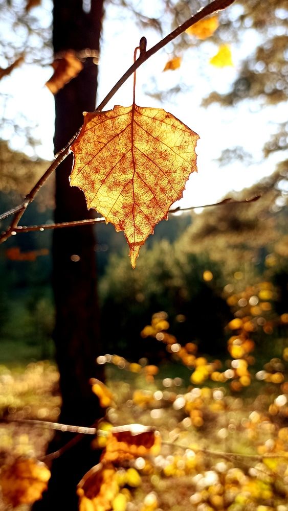 Photograph by Олеся Лосыгина