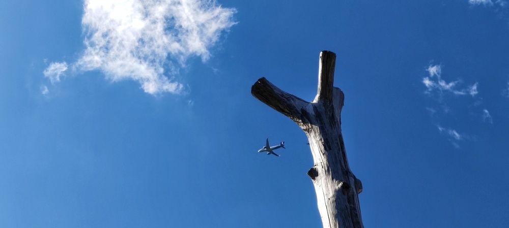 Фотография автора Вероника Жуковец