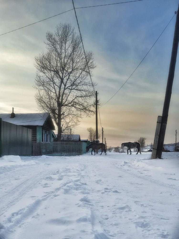 Photograph by Анастасия Дубинина