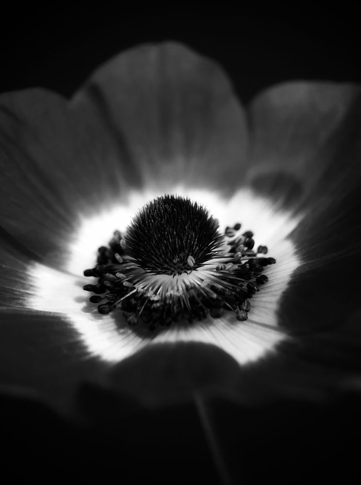 Photograph by Оксана Лоншакова