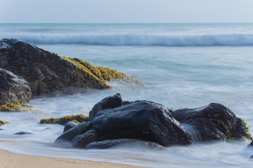 Photograph by Sonnadara Kushan Madushanka