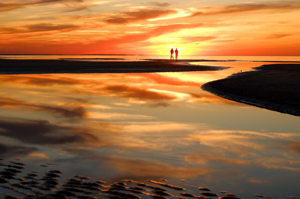 Фотография автора Elvijs Kalnins