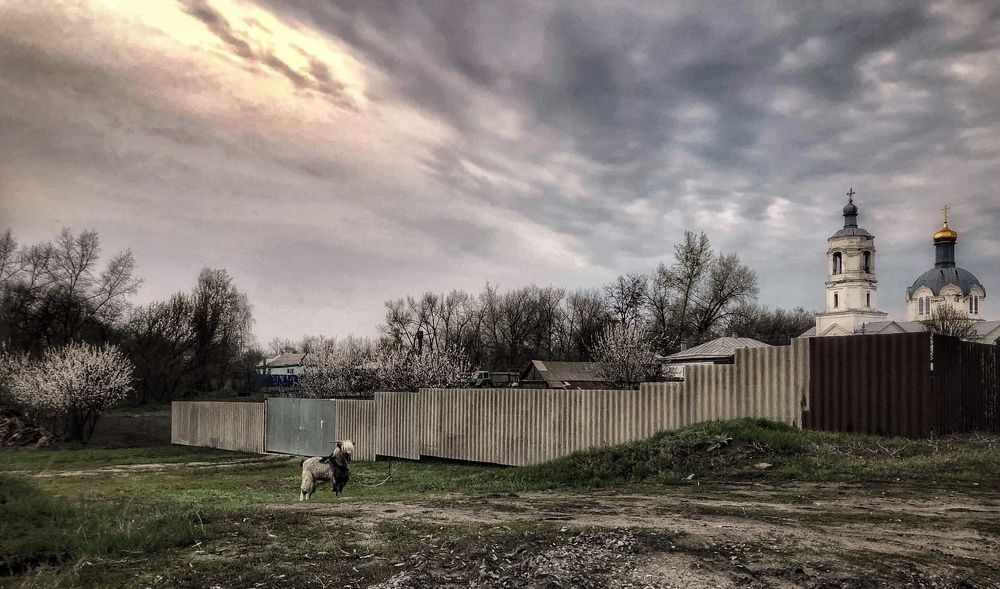 Фотография автора Светлана Терехова