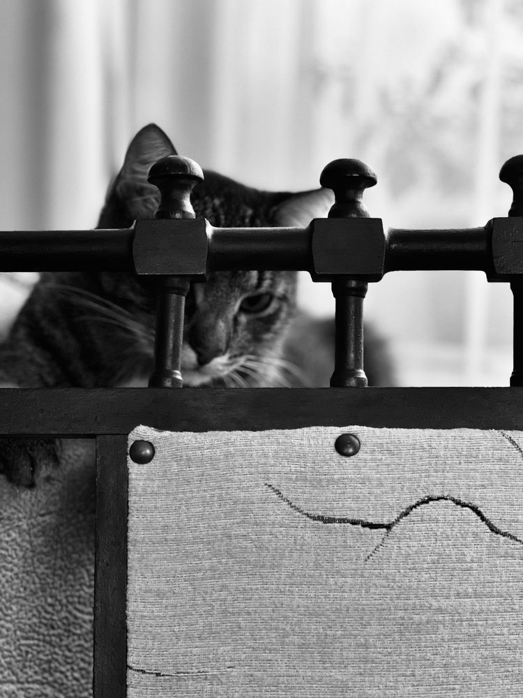 Photograph by Tamara