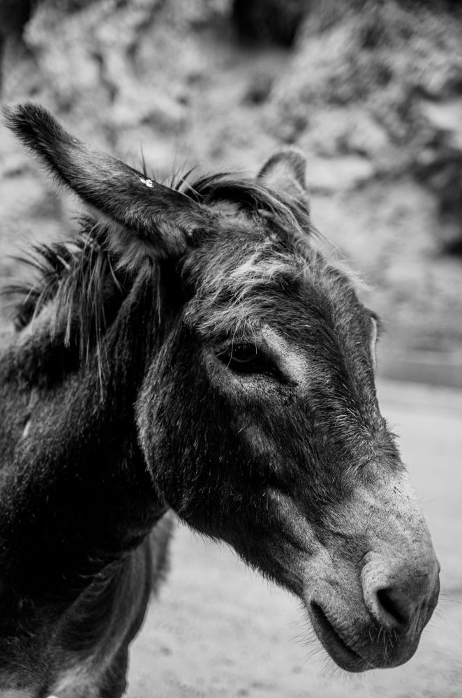 Photograph by Артём Серегин