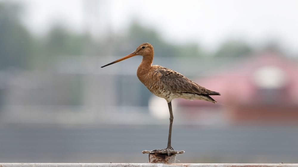 Photograph by crashfil