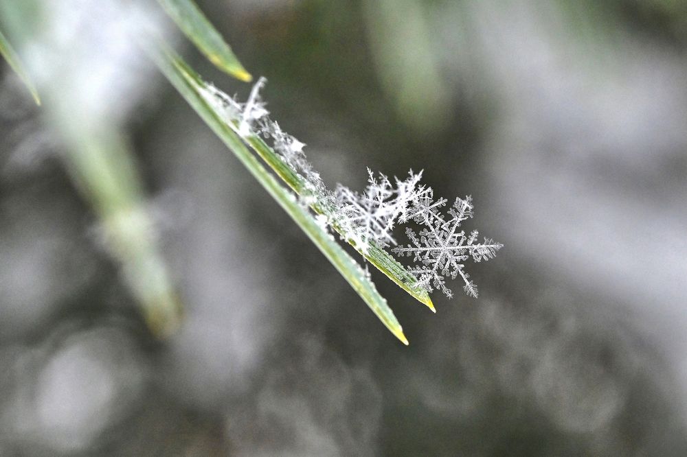 Photograph by Игорь Ковалёв