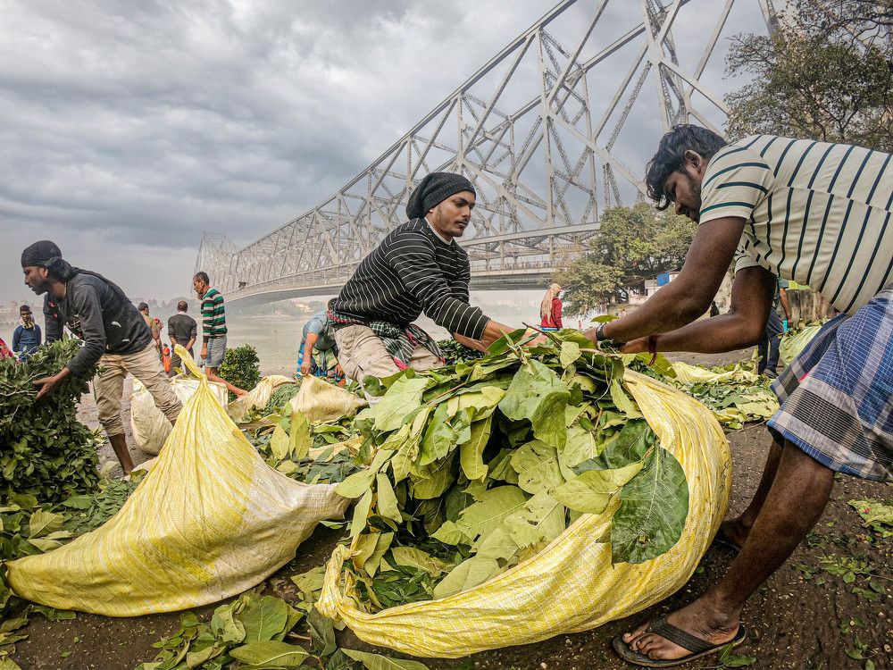 Photograph by raffi affi