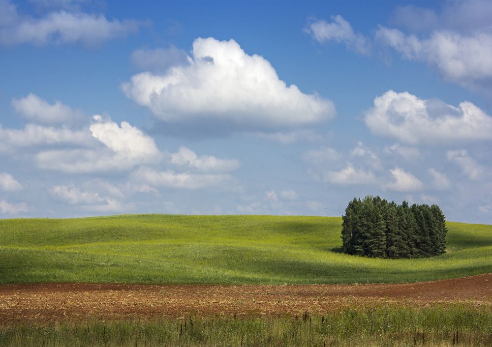 Photograph by Andrey Sensetic