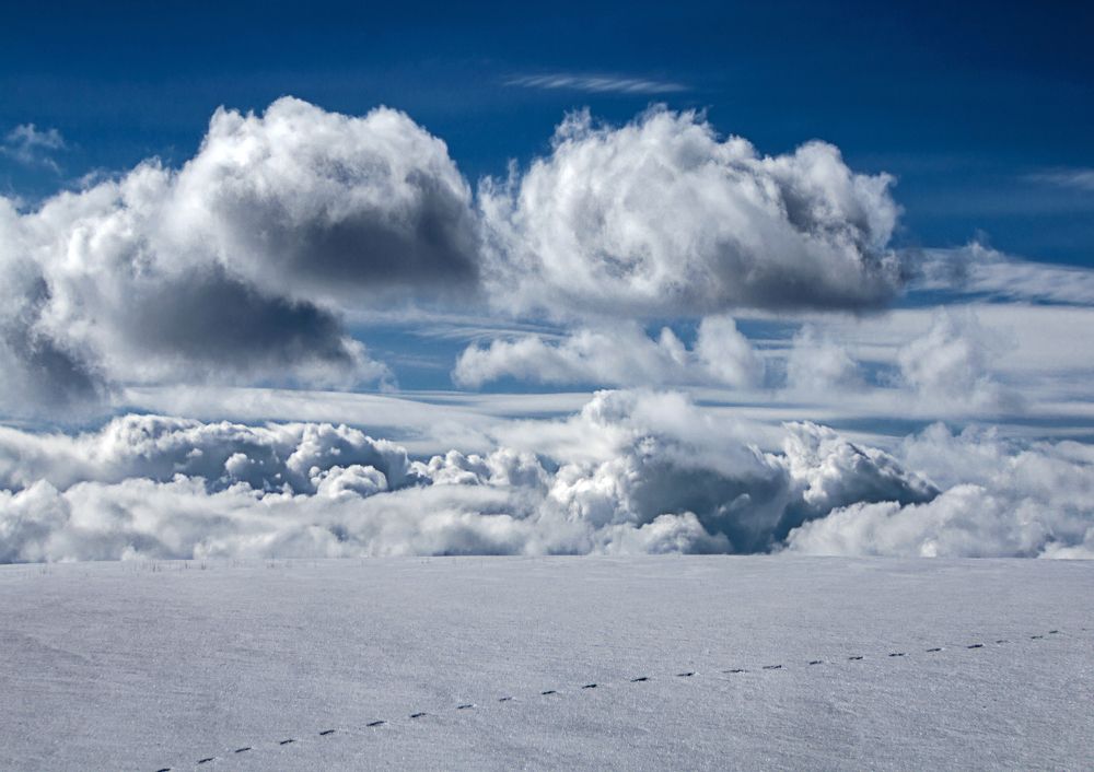 Путь в облака