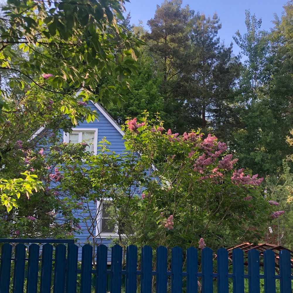 Photograph by Михаил Трусов