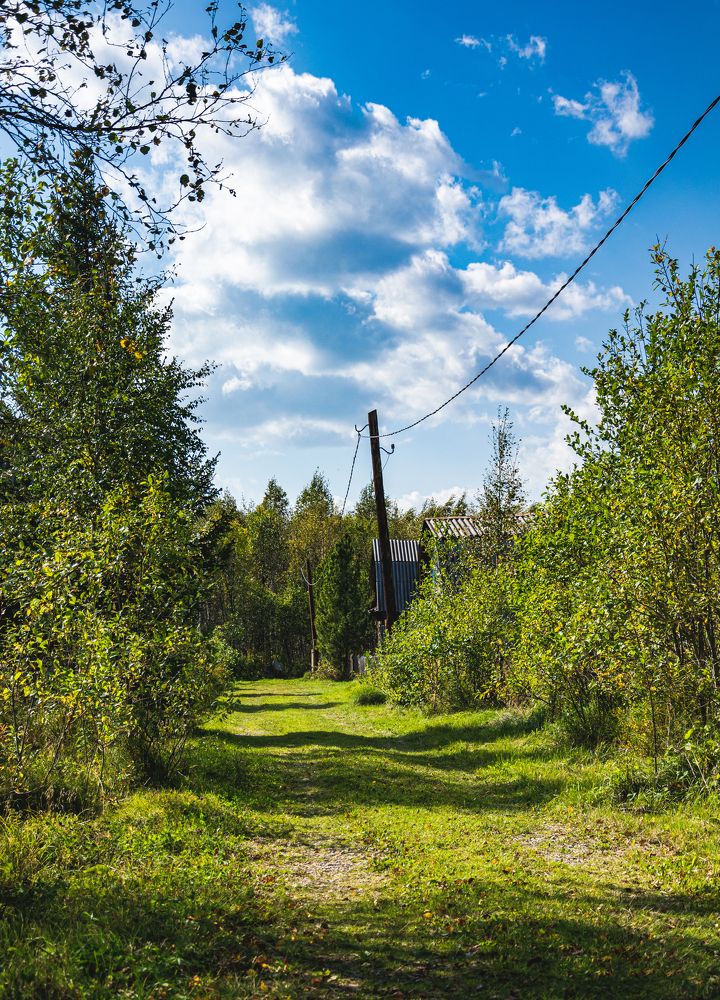 Photograph by Игорь Черемных