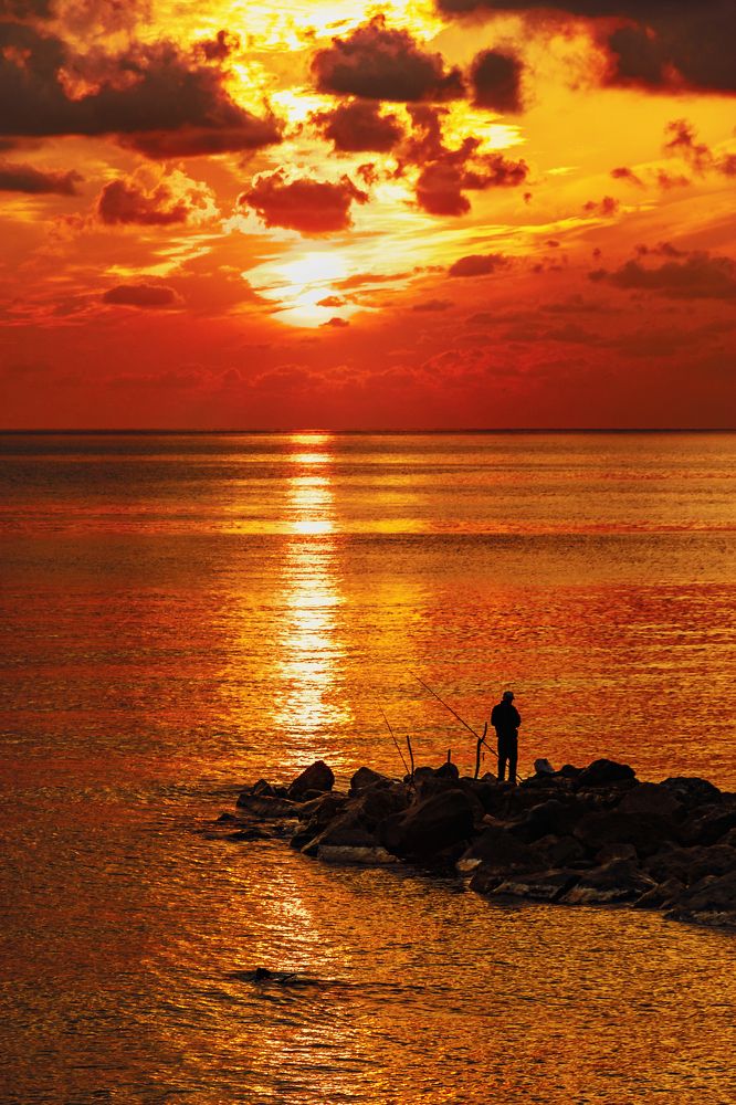 Photograph by Виталий Шкадинов